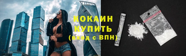 мяу мяу мука Лабытнанги