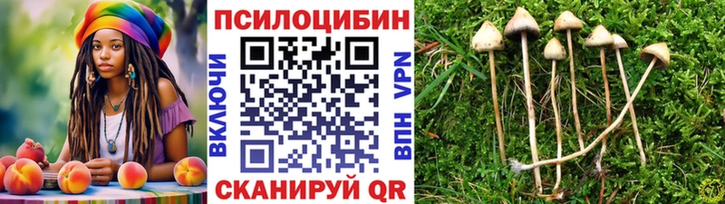 Купить  Новокубанск  Галлюциногенные грибы ЛСД 