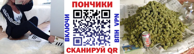 Купить где  Новокубанск  Бошки Шишки семена 